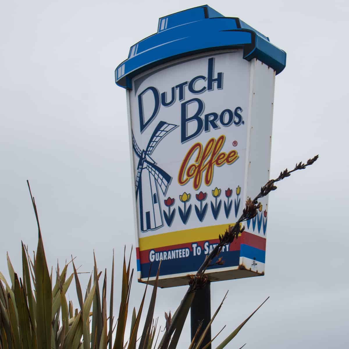dutch bros - one of the largest and most famous coffee chains in the world